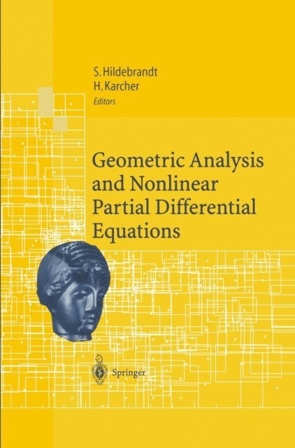 Hermann Karcher, Stefan Hildebrandt - Geometric Analysis and Nonlinear Partial Differential Equations, E-bok