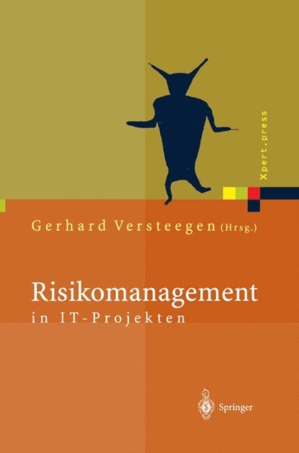 Gerhard Versteegen - Risikomanagement in IT-Projekten, E-bok