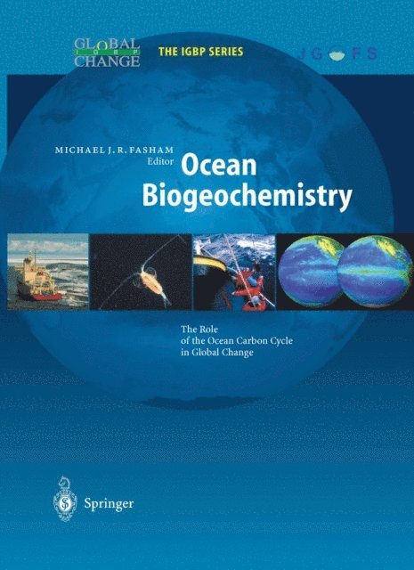 Michael J.R. Fasham - Ocean Biogeochemistry, E-bok