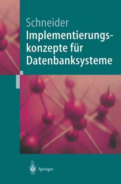 Markus Schneider - Implementierungskonzepte für Datenbanksysteme, E-bok