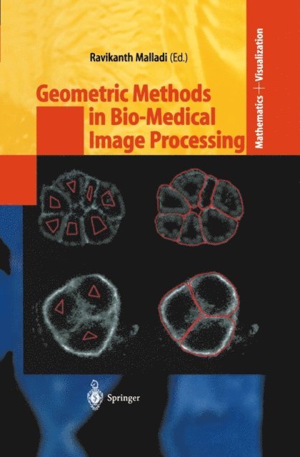 Ravikanth Malladi - Geometric Methods in Bio-Medical Image Processing, E-bok