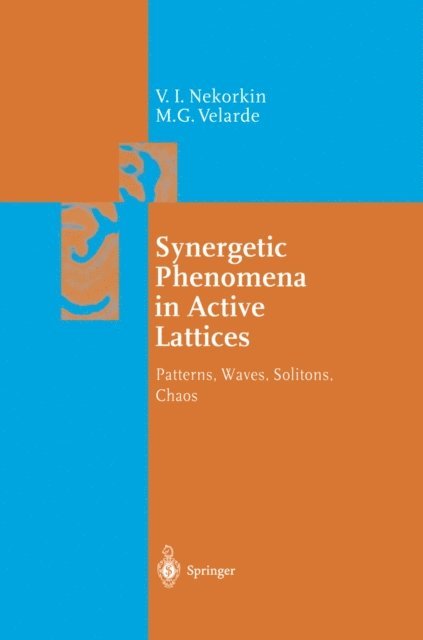 M. G. Velarde, Vladimir I. Nekorkin - Synergetic Phenomena in Active Lattices, E-bok. Tillgänglighet: Lägg i varukorg