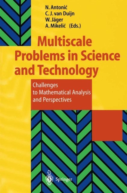 Andro Mikelic, Willi Jager, C.J. van Duijn, Nenad Antonic - Multiscale Problems in Science and Technology, E-bok