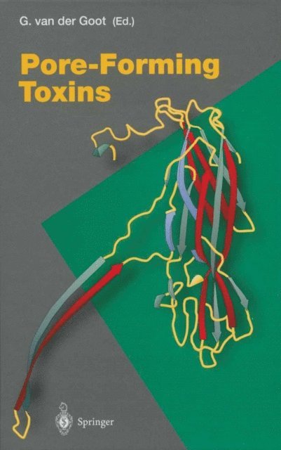 Gisou van der Goot - Pore-Forming Toxins, E-bok