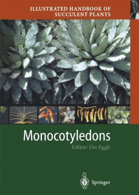 Urs Eggli - Illustrated Handbook of Succulent Plants: Monocotyledons, E-bok