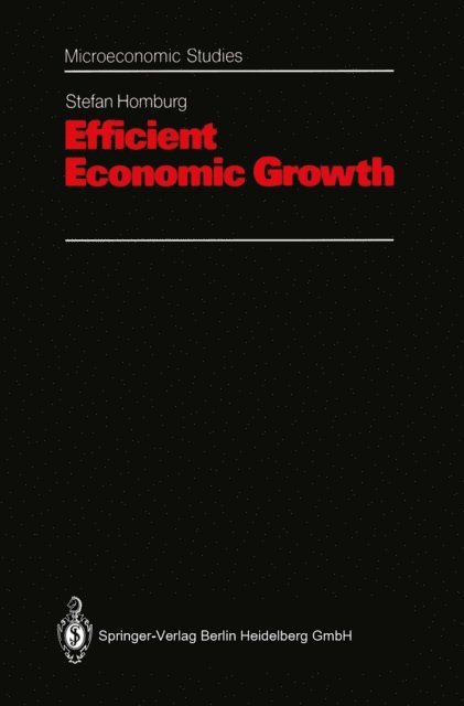 Stefan Homburg - Efficient Economic Growth, E-bok