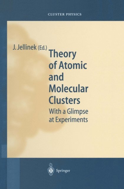 Julius Jellinek - Theory of Atomic and Molecular Clusters, E-bok