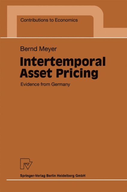 Bernd Meyer - Intertemporal Asset Pricing, E-bok