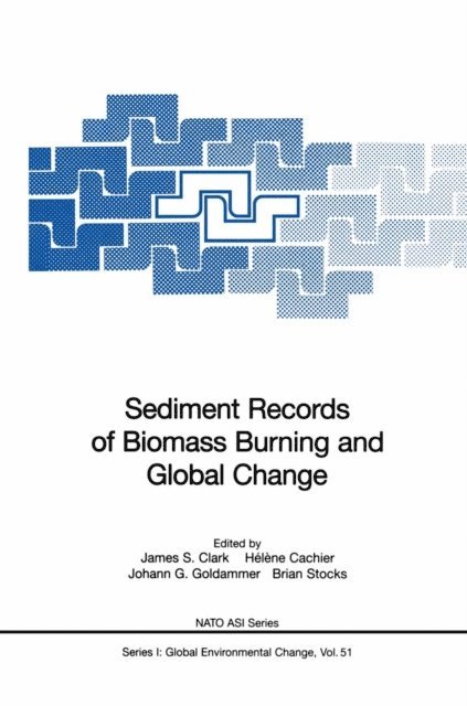 Brian J. Stocks, Johann G. Goldammer, Helene Cachier, James S. Clark - Sediment Records of Biomass Burning and Global Change, E-bok