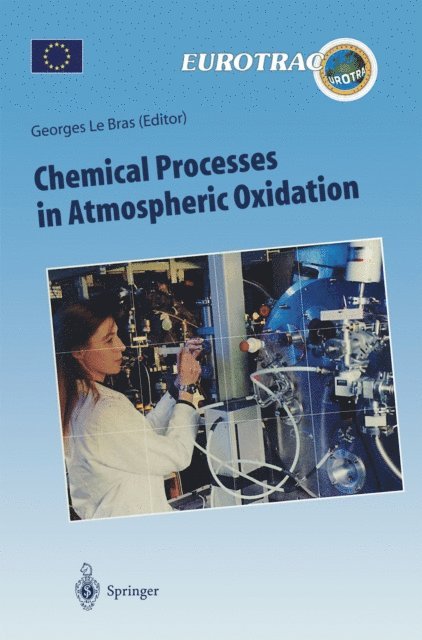 Georges Le Bras - Chemical Processes in Atmospheric Oxidation, E-bok