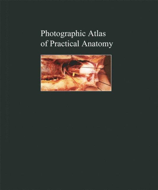 Walter Thiel - Photographic Atlas of Practical Anatomy II, E-bok