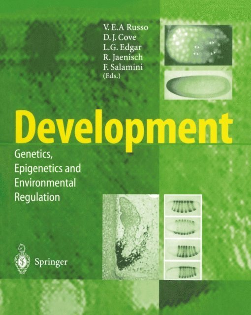 F. Salamini, R. Jaenisch, L.G. Edgar, D.J. Cove, V.E.A. Russo - Development, E-bok