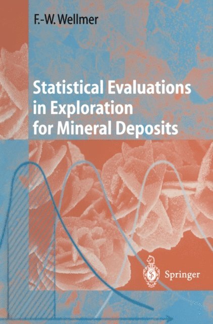 Friedrich-Wilhelm Wellmer - Statistical Evaluations in Exploration for Mineral Deposits, E-bok