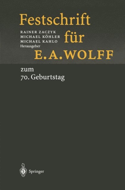 Michael Kahlo, Michael Kohler, Rainer Zaczyk - Festschrift für E.A. Wolff, E-bok