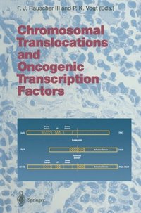 Chromosomal Translocations and Oncogenic Transcription Factors