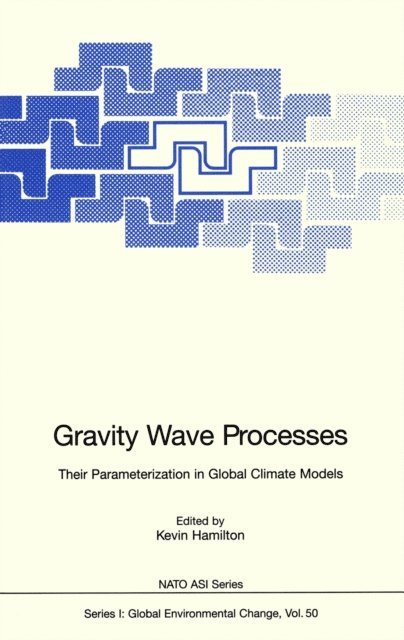 Kevin Hamilton - Gravity Wave Processes, E-bok