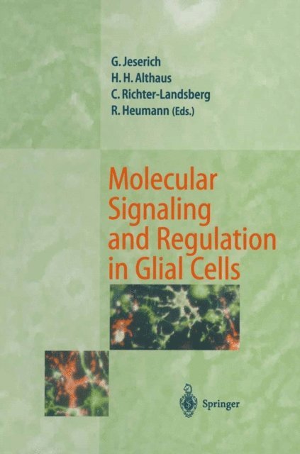 Rolf Heumann, Christiane Richter-Landsberg, Hans H. Althaus, Gunnar Jeserich - Molecular Signaling and Regulation in Glial Cells, E-bok