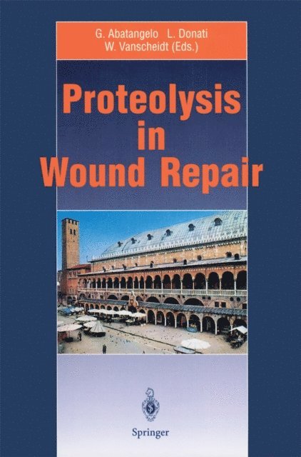 Wolfgang Vanscheidt, Luigi Donati, Giovanni Abatangelo - Proteolysis in Wound Repair, E-bok