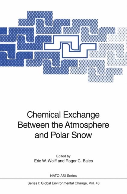 Roger C. Bales, Eric W. Wolff - Chemical Exchange Between the Atmosphere and Polar Snow, E-bok