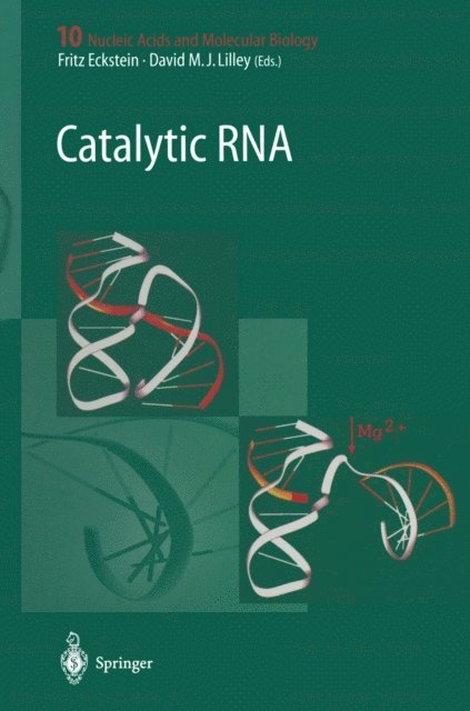 David M.J. Lilley, Fritz Eckstein - Catalytic RNA, E-bok