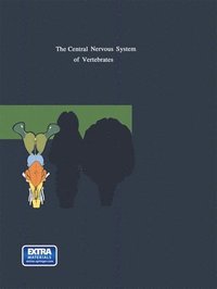 The Human Central Nervous System - Rudolf Nieuwenhuys, Jan Voogd ...