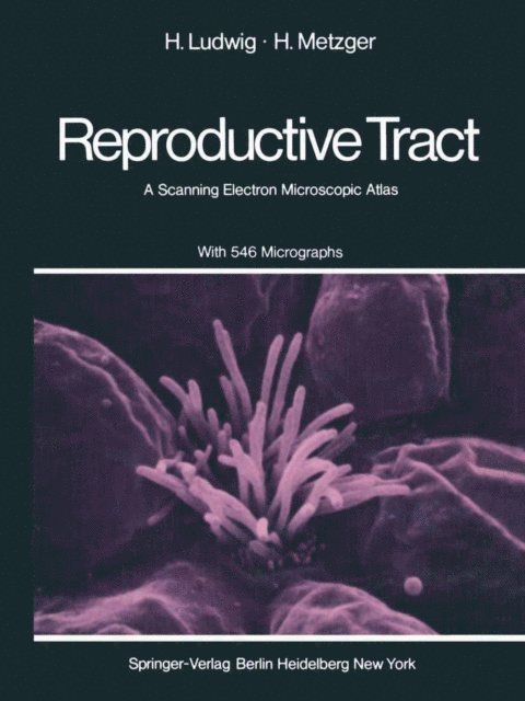 H. Metzger, H. Ludwig - Human Female Reproductive Tract, E-bok