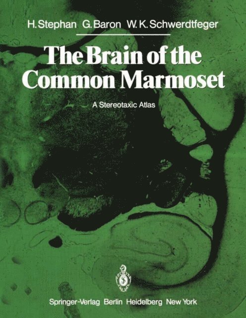 W.K. Schwerdtfeger, G. Baron, H. Stephan - Brain of the Common Marmoset (Callithrix jacchus), E-bok