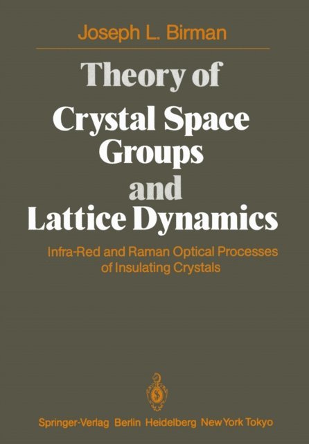 J. L. Birman - Theory of Crystal Space Groups and Lattice Dynamics, E-bok