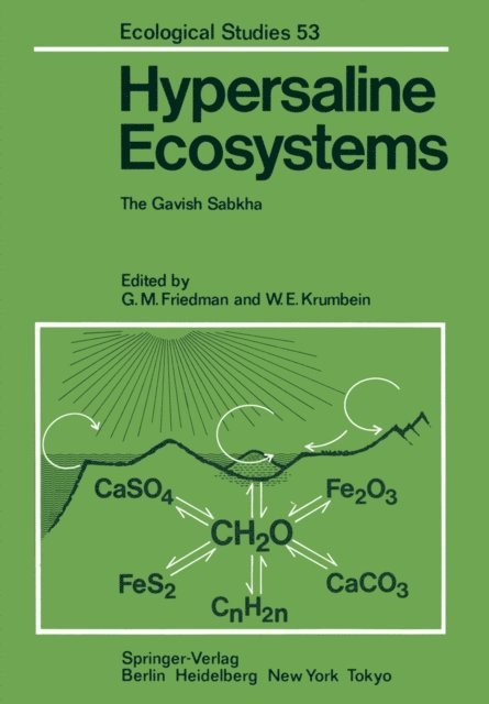 W.E. Krumbein, G.M. Friedman - Hypersaline Ecosystems, E-bok