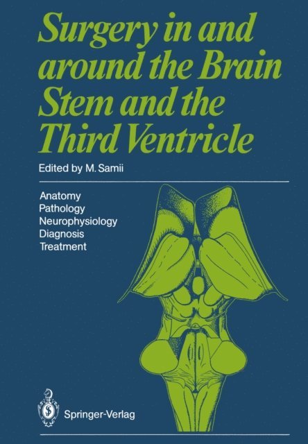 M. Samii - Surgery in and around the Brain Stem and the Third Ventricle, E-bok