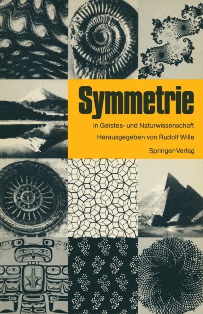 Rudolf Wille - Symmetrie in Geistes- und Naturwissenschaft, E-bok
