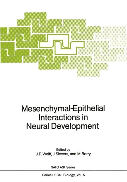 Martin Berry, Jobst Sievers, Joachim R. Wolff - Mesenchymal-Epithelial Interactions in Neural Development, E-bok