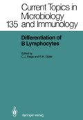 Differentiation of B Lymphocytes