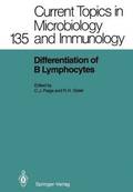 Differentiation of B Lymphocytes