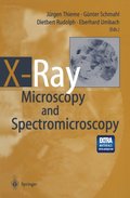 X-Ray Microscopy and Spectromicroscopy