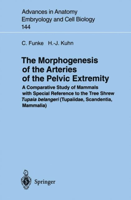 Hans-Jorg Kuhn, Carolin Funke - Morphogenesis of the Arteries of the Pelvic Extremity, E-bok