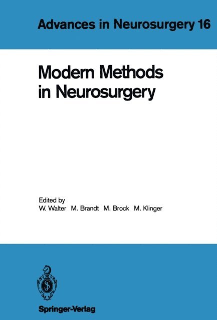 Margareta Klinger, Mario Brock, Mathias Brandt, Wendelin Walter - Modern Methods in Neurosurgery, E-bok