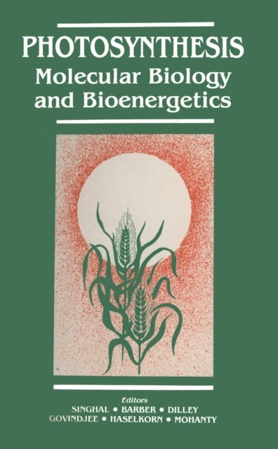 Prasanna Mohanty, Robert Haselkorn, Govindjee, Richard A. Dilley, James Barber, G.S. Singhal - Photosynthesis, E-bok