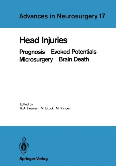 Margareta Klinger, Mario Brock, Reinhold A. Frowein - Head Injuries, E-bok