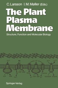 Plant Plasma Membrane