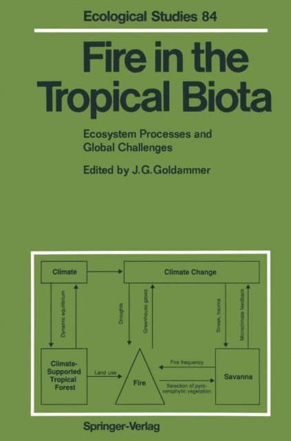 Johann G. Goldammer - Fire in the Tropical Biota, E-bok