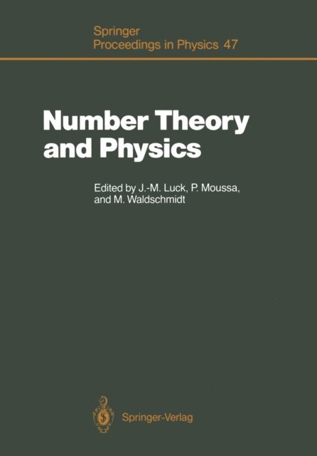 Michel Waldschmidt, Pierre Moussa, Jean-Marc Luck - Number Theory and Physics, E-bok