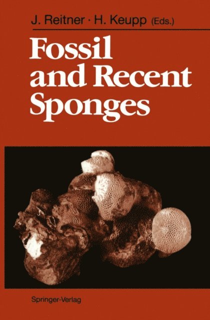 Helmut Keupp, Joachim Reitner - Fossil and Recent Sponges, E-bok