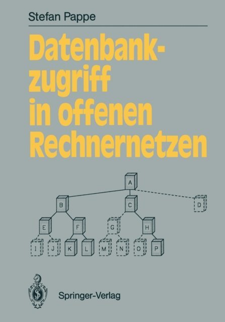 Stefan Pappe - Datenbankzugriff in offenen Rechnernetzen, E-bok