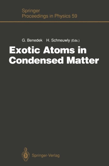 Hubert Schneuwly, Giorgio Benedek - Exotic Atoms in Condensed Matter, E-bok