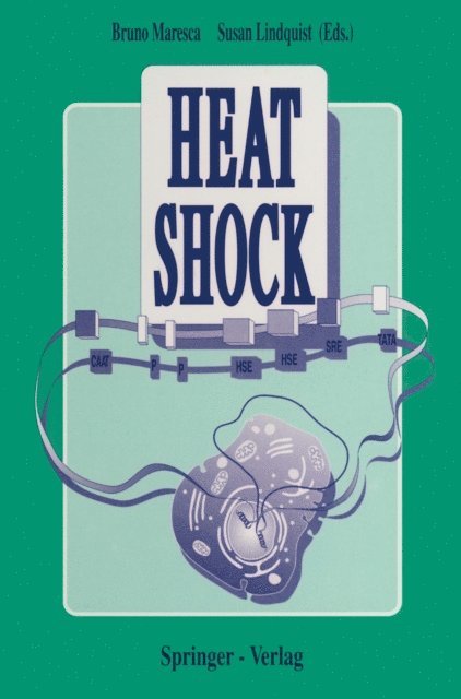 Susan Lindquist, Bruno Maresca - Heat Shock, E-bok