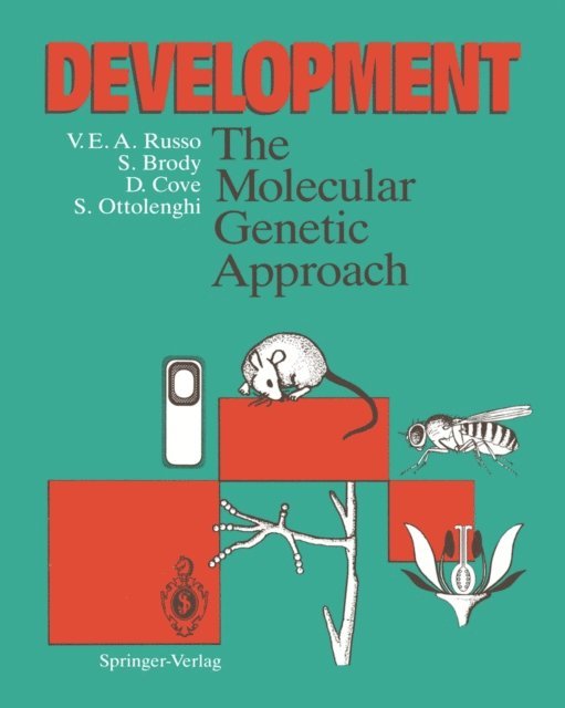 Sergio Ottolenghi, David Cove, Stuart Brody, Vincenzo E.A. Russo - Development, E-bok