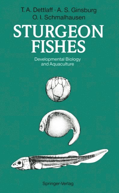 Olga I. Schmalhausen, Anna S. Ginsburg, Tatiana A. Dettlaff - Sturgeon Fishes, E-bok. Tillgänglighet: Lägg i varukorg