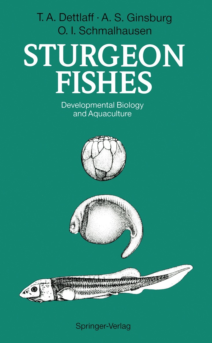 Tatiana A. Dettlaff, Anna S. Ginsburg, Olga I. Schmalhausen - Sturgeon Fishes, Häftad. Tillgänglighet: Lägg i varukorg