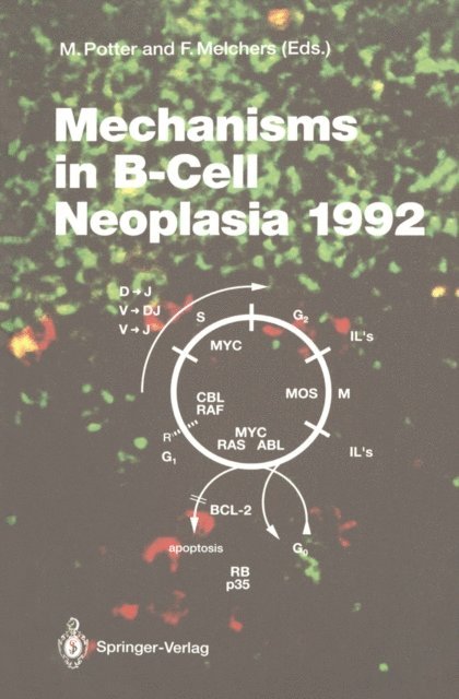 Fritz Melchers, Michael Potter - Mechanisms in B-Cell Neoplasia 1992, E-bok